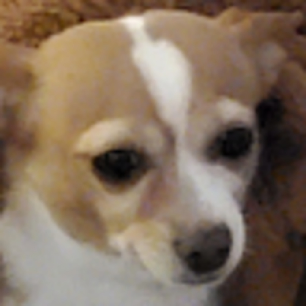 Meet your Posher, Joanne